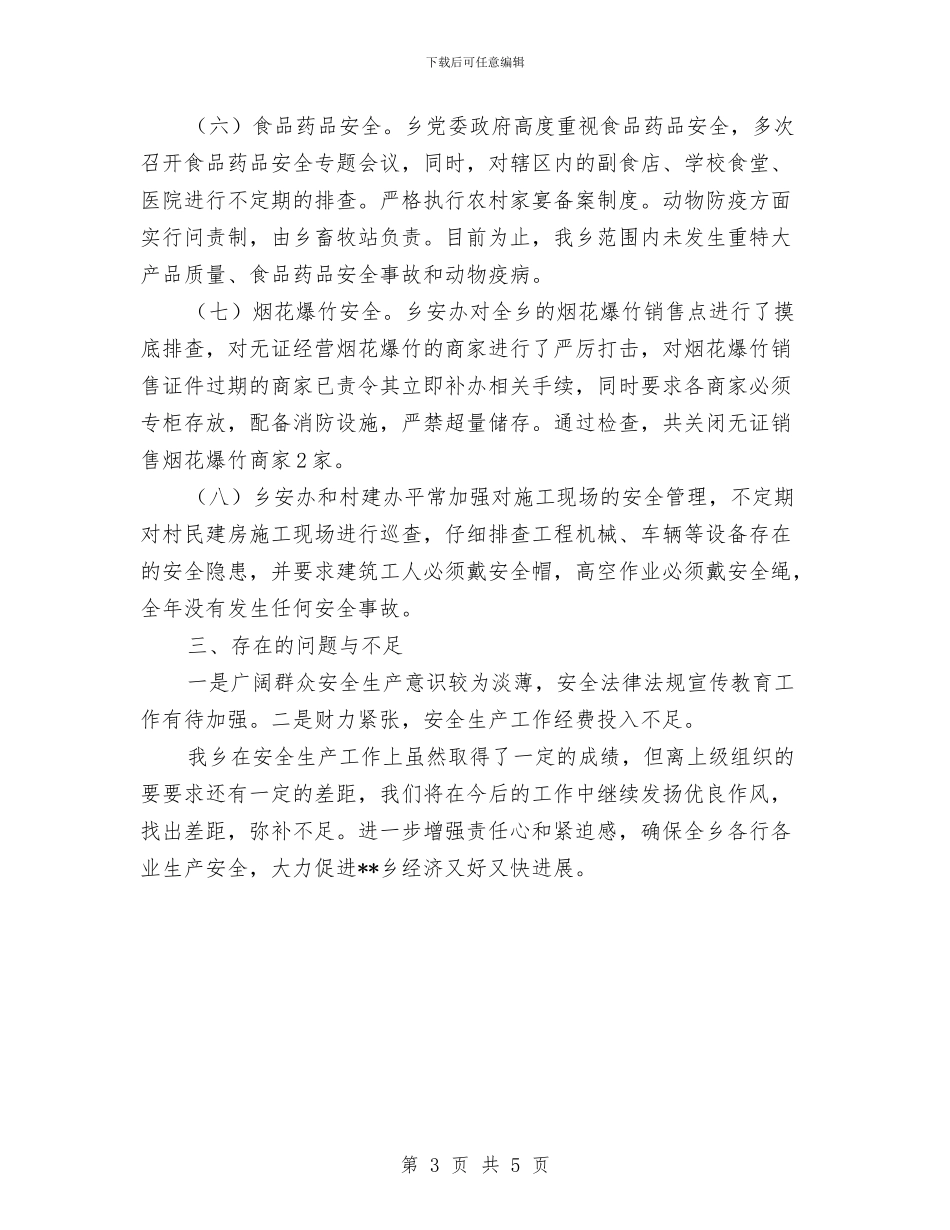 乡2024年度安全生产执行情况总结与乡2024年防汛工作检查报告汇编_第3页