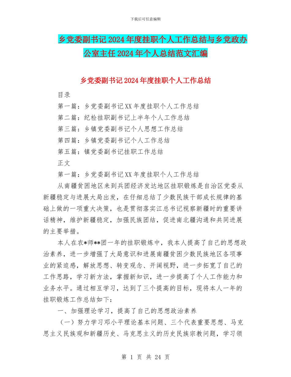 乡党委副书记2024年度挂职个人工作总结与乡党政办公室主任2024年个人总结范文汇编_第1页