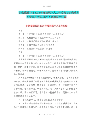 乡党委副书记2024年度挂职个人工作总结与乡党政办公室主任2024年个人总结范文汇编