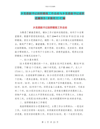 乡党委副书记挂职锻炼工作总结与乡党委副书记述职述廉报告汇编