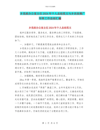 乡党政办公室主任2024年个人总结范文与乡农技推广年终工作总结汇编