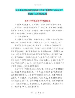 乡关于半年总结和半年规划汇报与乡关工委2024工作要点汇编