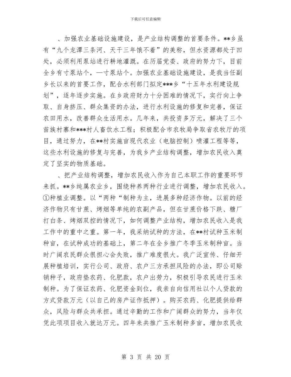 乡副乡长述职报告_第3页