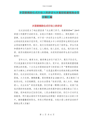 乡团委捐助仪式行动上的讲话与乡基层组建现场会发言稿汇编
