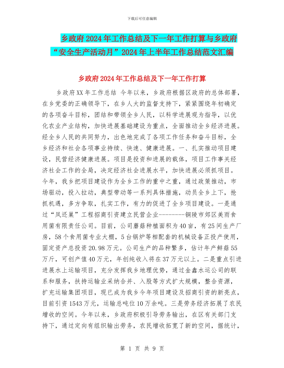乡政府2024年工作总结及下一年工作打算与乡政府“安全生产活动月”2024年上半年工作总结范文汇编_第1页