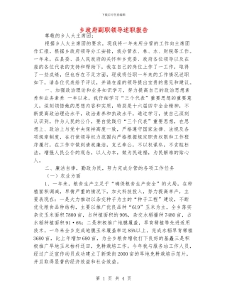 乡政府副职领导述职报告