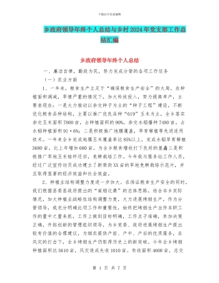 乡政府领导年终个人总结与乡村2024年党支部工作总结汇编