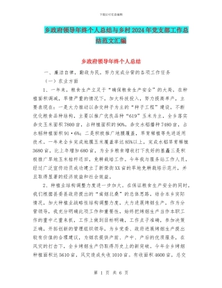 乡政府领导年终个人总结与乡村2024年党支部工作总结范文汇编