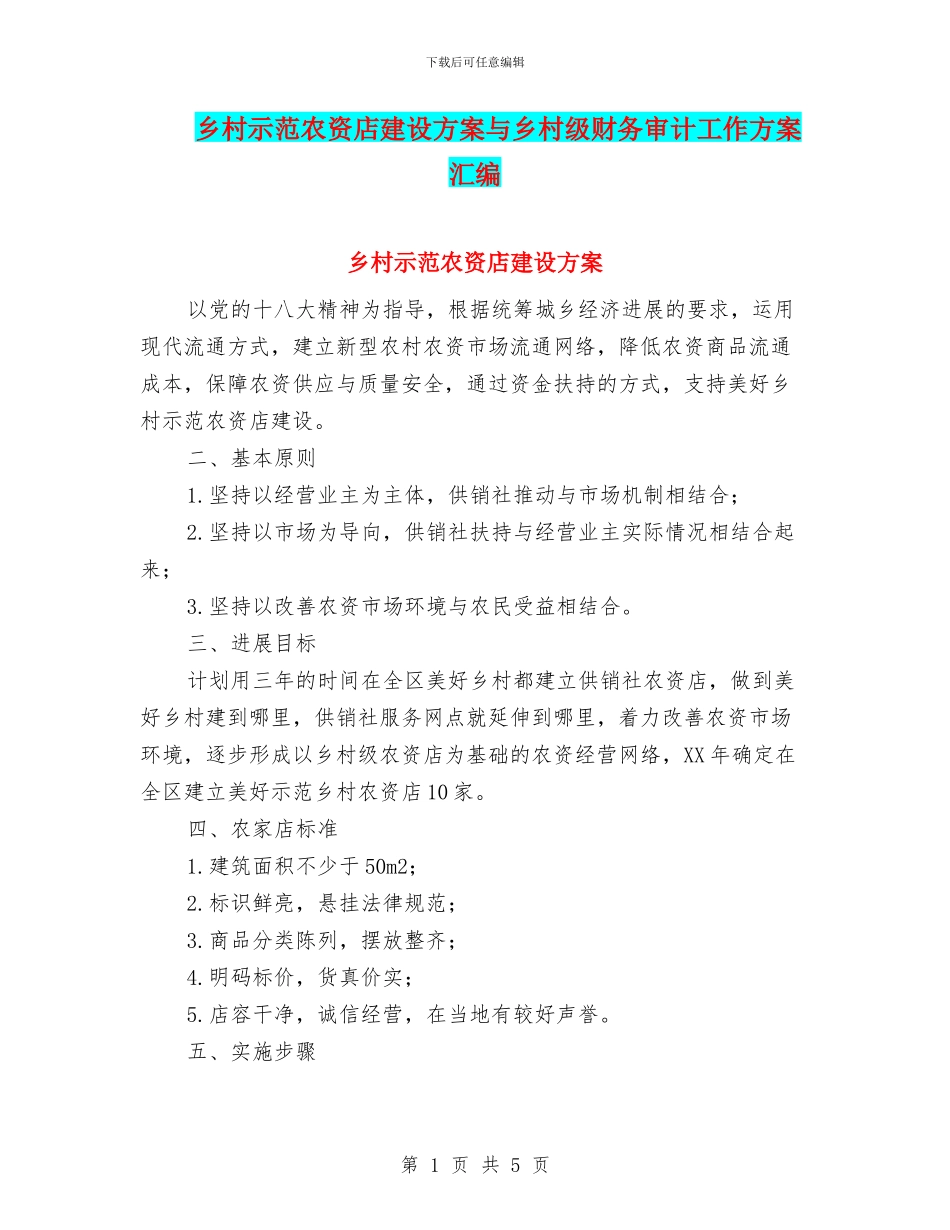 乡村示范农资店建设方案与乡村级财务审计工作方案汇编_第1页