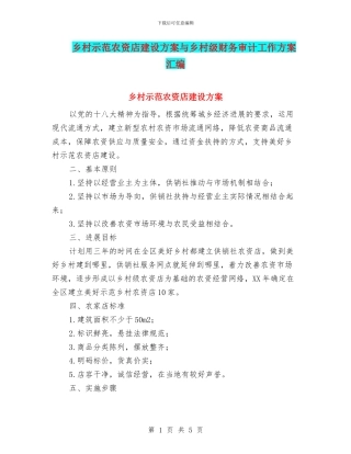 乡村示范农资店建设方案与乡村级财务审计工作方案汇编