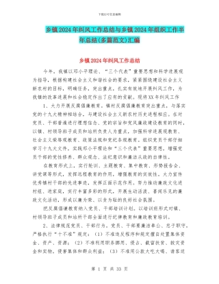 乡镇2024年纠风工作总结与乡镇2024年组织工作半年总结汇编