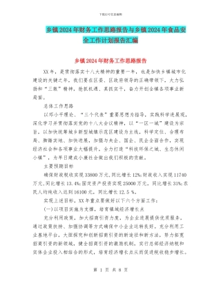 乡镇2024年财务工作思路报告与乡镇2024年食品安全工作计划报告汇编