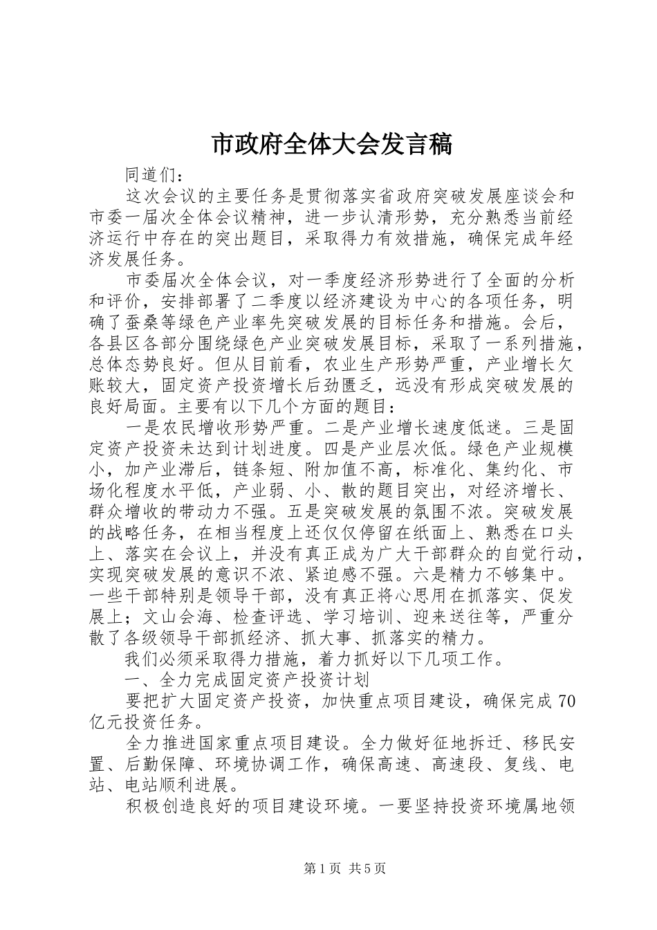 市政府全体大会发言稿_第1页