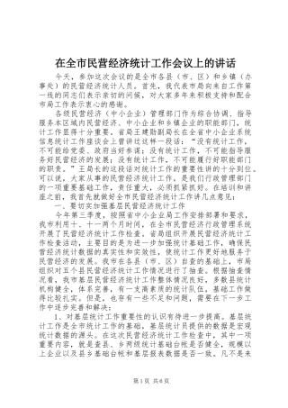 在全市民营经济统计工作会议上的讲话