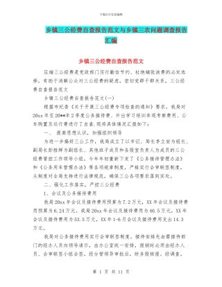 乡镇三公经费自查报告范文与乡镇三农问题调查报告汇编