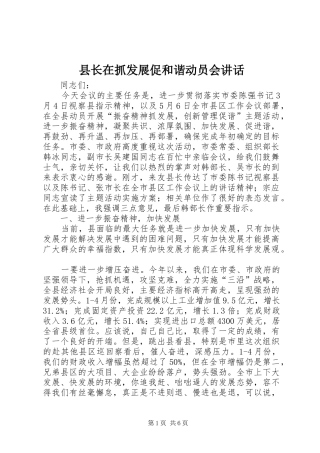 县长在抓发展促和谐动员会讲话