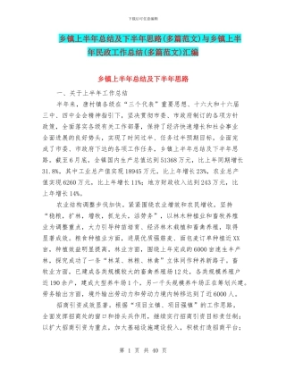 乡镇上半年总结及下半年思路与乡镇上半年民政工作总结(多篇范文)汇编