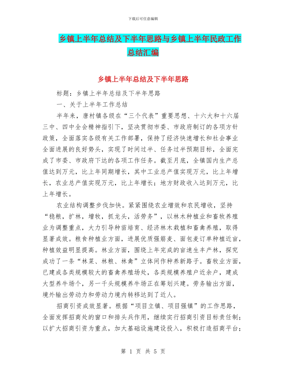 乡镇上半年总结及下半年思路与乡镇上半年民政工作总结汇编.doc_第1页