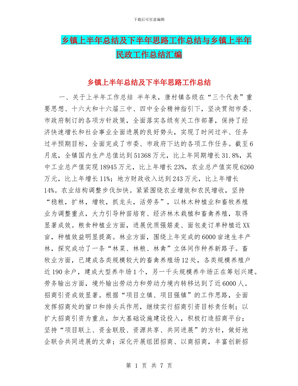 乡镇上半年总结及下半年思路工作总结与乡镇上半年民政工作总结汇编_第1页