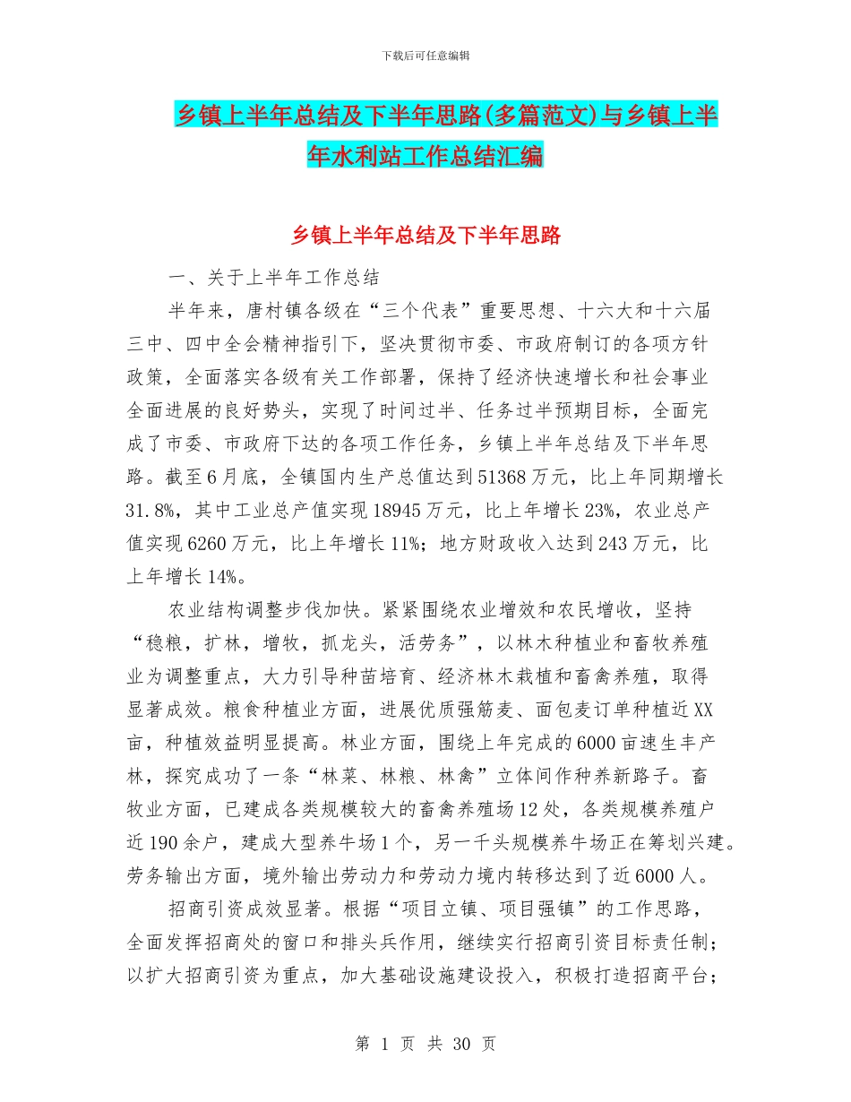 乡镇上半年总结及下半年思路与乡镇上半年水利站工作总结汇编_第1页