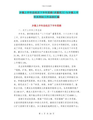 乡镇上半年总结及下半年思路与乡镇上半年水利站工作总结汇编