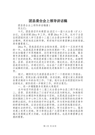 团县委全会上领导讲话稿