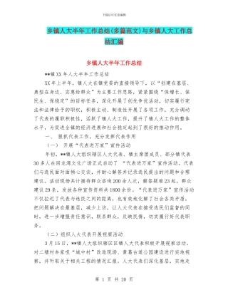 乡镇人大半年工作总结与乡镇人大工作总结汇编