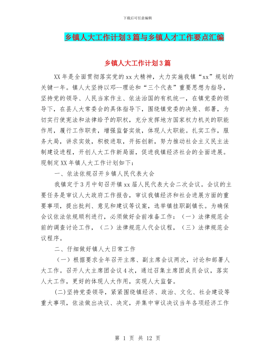 乡镇人大工作计划3篇与乡镇人才工作要点汇编_第1页