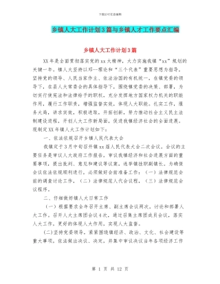 乡镇人大工作计划3篇与乡镇人才工作要点汇编