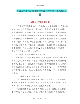 乡镇人大工作计划3篇与乡镇人才开发工作总结3汇编