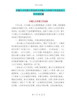 乡镇人大年度工作总结与乡镇人大年终工作总结及工作计划汇编