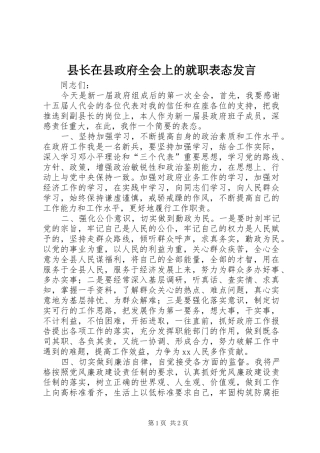 县长在县政府全会上的就职表态发言