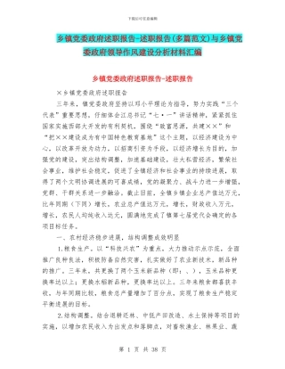 乡镇党委政府述职报告
