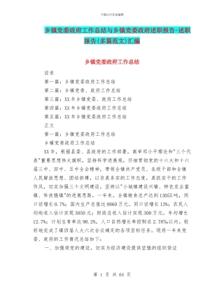 乡镇党委政府工作总结与乡镇党委政府述职报告