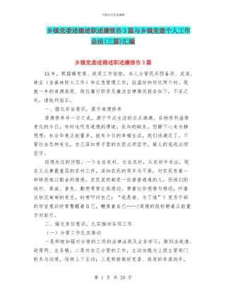 乡镇党委述德述职述廉报告3篇与乡镇党建个人工作总结汇编