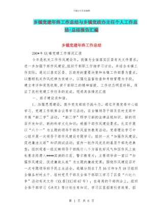 乡镇党建年终工作总结与乡镇党政办主任个人工作总结