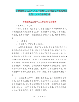 乡镇党政办主任个人工作总结