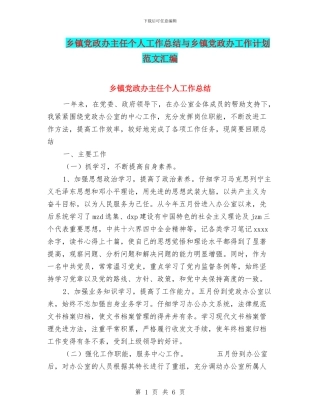 乡镇党政办主任个人工作总结与乡镇党政办工作计划范文汇编