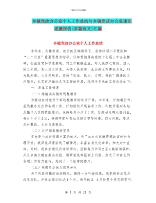 乡镇党政办公室个人工作总结与乡镇党政办公室述职述廉报告汇编