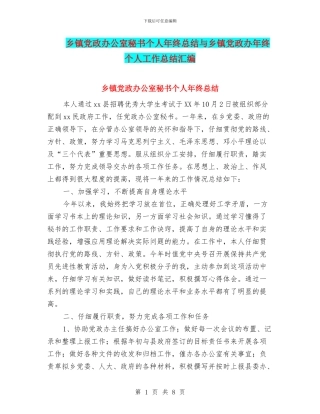 乡镇党政办公室秘书个人年终总结与乡镇党政办年终个人工作总结汇编