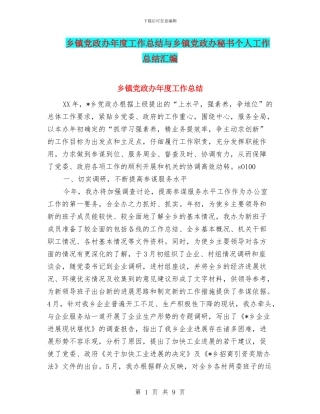 乡镇党政办年度工作总结与乡镇党政办秘书个人工作总结汇编