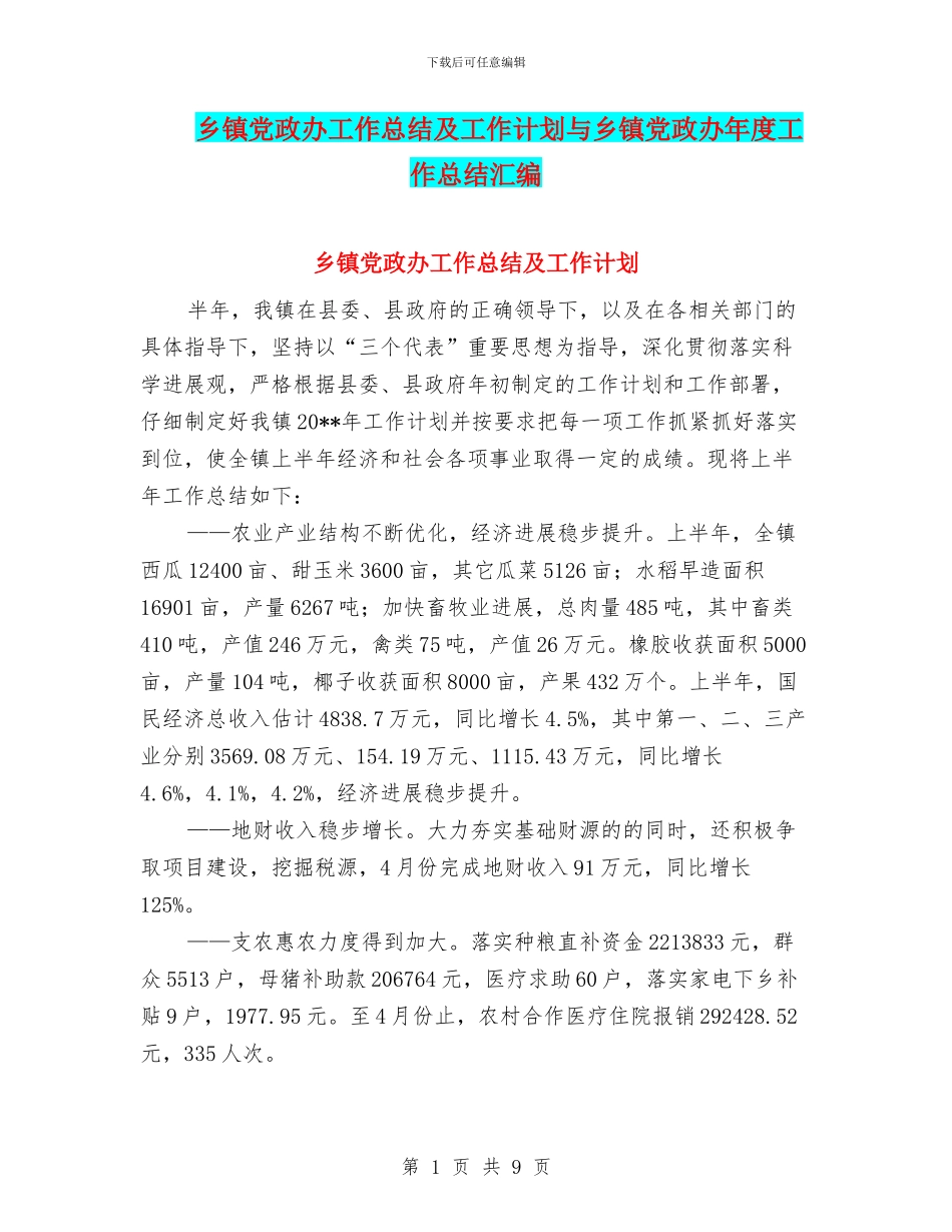 乡镇党政办工作总结及工作计划与乡镇党政办年度工作总结汇编_第1页