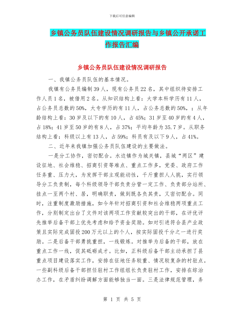 乡镇公务员队伍建设情况调研报告与乡镇公开承诺工作报告汇编_第1页
