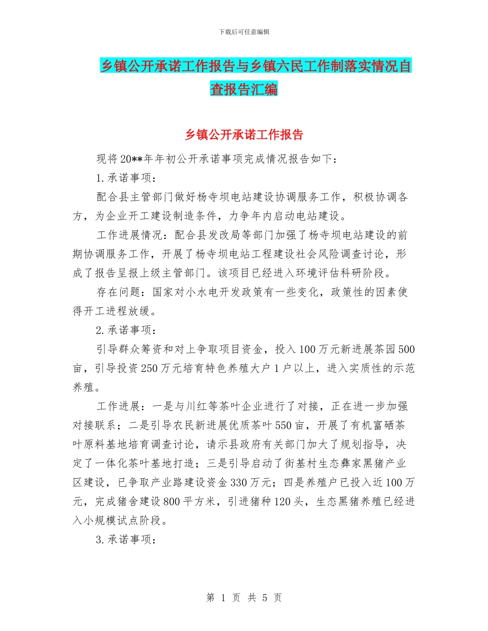 乡镇公开承诺工作报告与乡镇六民工作制落实情况自查报告汇编_第1页
