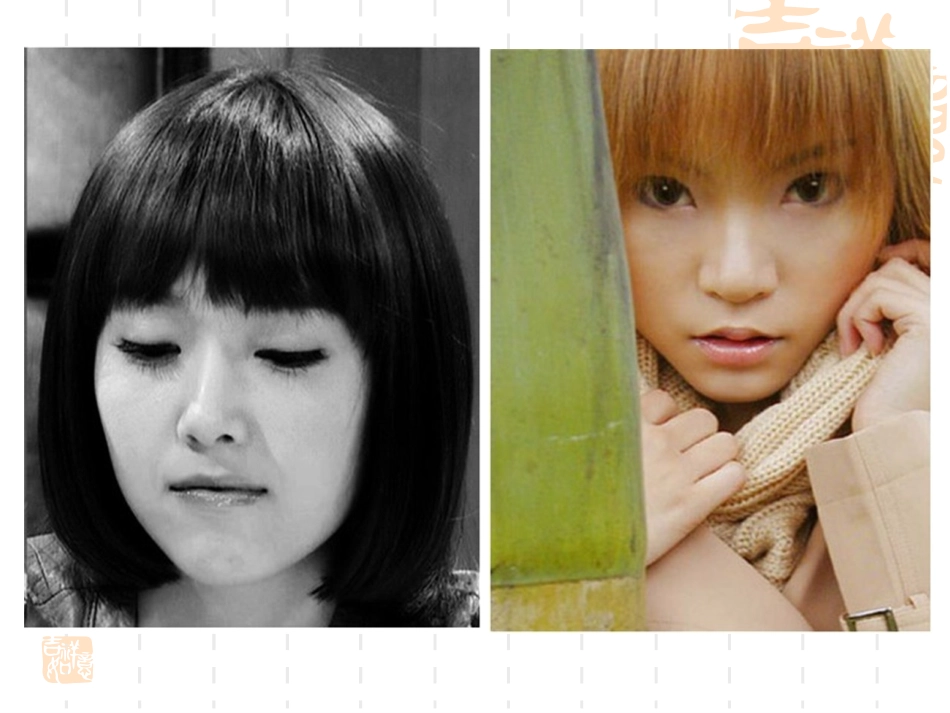 第六章：社会生态系统理论_第2页