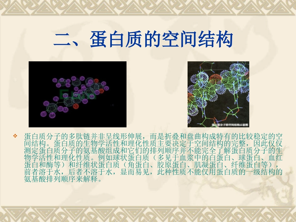蛋白质的一级结构与功能的关系蛋白质的空间结构与功能的关系_第3页