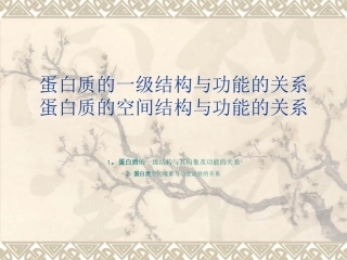 蛋白质的一级结构与功能的关系蛋白质的空间结构与功能的关系