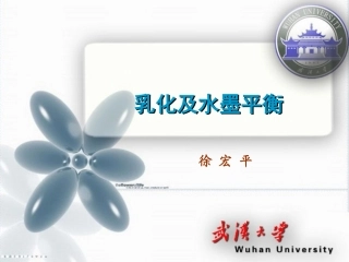 第四讲 乳化及水墨平衡 徐 宏 平