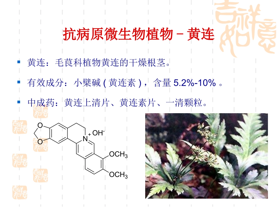 第四章 药用植物资源(3)_第3页