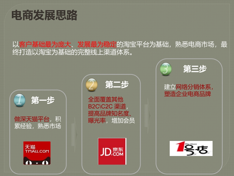 电商_代运营策划整体推广方案 (1)_第2页